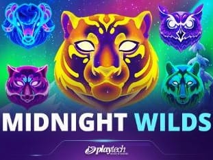 Midnight Wilds game thumbnail